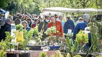 Pflanzenbörse Grugapark Essen: Klima ist das große Thema - WAZ News