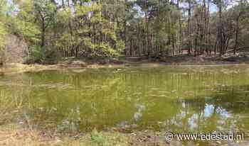 Wandeling De Hoef (Otterlo) | EdeStad - Ede Stad