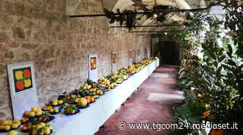 Giardini d'Agrumi a Gargnano per celebrare i limoni del Garda - TGCOM