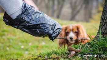 Zu teuer für Tornesch: Keine neuen Sitzbänke, keine neuen Stationen für Hundekotbeutel | shz.de - shz.de