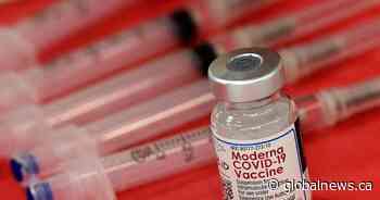 Ontario COVID numbers: 1,455 people in hospital, 219 in intensive care