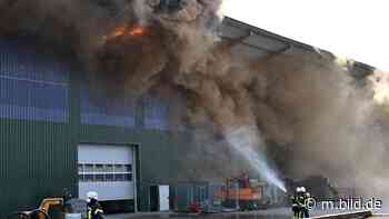 Feuer in Reken: Lagerhalle geht in Flammen auf | Regional - BILD