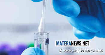 Coronavirus, oltre 90 nuovi positivi a Matera. Ecco gli ultimi dati - Matera News