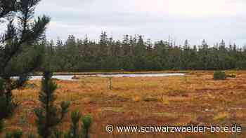 Naturpark bildet aus: Neue Stimmen für Klimaschutz in der Region