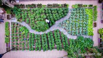 Bauernhöfe in der Stadt – der Mega-Trend aus den USA kommt nach Deutschland