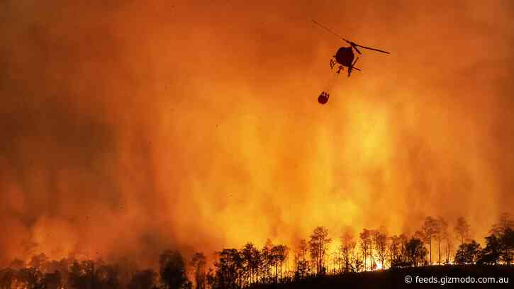 Two Fires Have Joined Forces in New Mexico as Southwest Wildfires Continue to Blaze