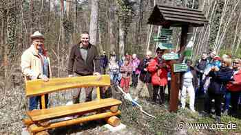 Die mächtigste Rotbuche steht in Hummelshain