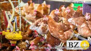 CDU-Landtagsfraktion will modernere Landwirtschaft