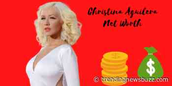 Christina Aguilera Net Worth: How Much Money Christina Has? - Trending News Buzz