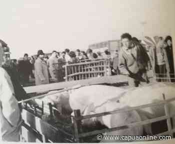 La Fiera di Santo Stefano a Capua - Capuaonline.com