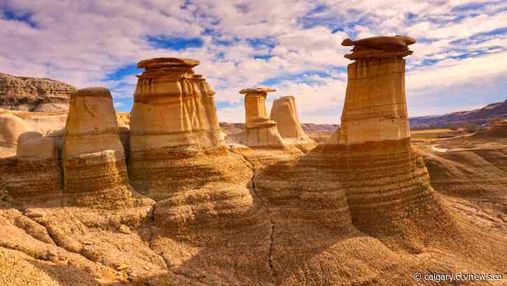 Survey of Alberta's tourism industry pinpoints greatest recovery challenges