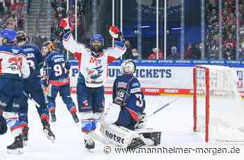 Adler Mannheim senden ein Lebenszeichen - Sport - Mannheimer Morgen