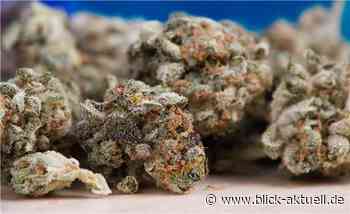 Koblenz: Cannabis in Blumentopf versteckt - Blick aktuell