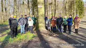 Folgen des Klimawandels im Stadtwald Koblenz - Blick aktuell