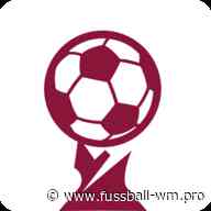 Ghana mit Interimstrainer Otto Addo zur WM 2022? - fussball-wm.pro