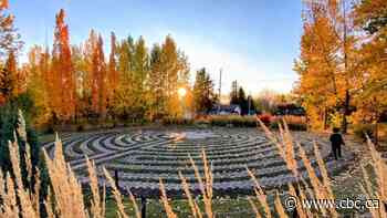 And the winning suburb is...