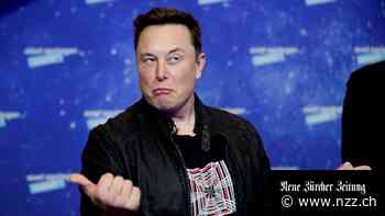 Elon Musk kauft Twitter