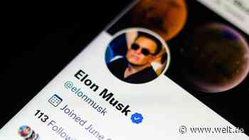 Vorstand erlaubt Übernahme – was Elon Musk wirklich mit Twitter vorhat
