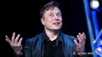 Elon Musk kauft Twitter für 44 Milliarden Dollar auf