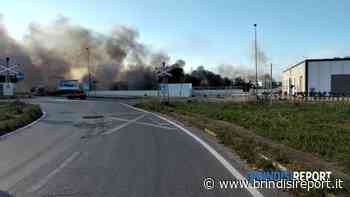 Incendio di canneto nella zona industriale di Brindisi: fumo visibile a decine di chilometri di distanza - BrindisiReport
