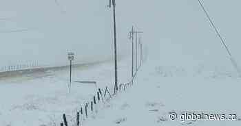 Spring storm in southeast Sask. causes outages from damaged power lines and poles