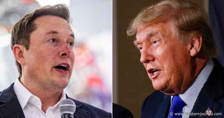 Donald Trump Probably Won't Be Returning to Twitter Even with Musk Buying Big Tech Company