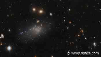 Hubble Space Telescope studies peculiar 'ultra-diffuse galaxy' (photo)