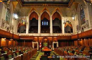 Kingston health advisors petition for decriminalization of personal drug use - Kingstonist