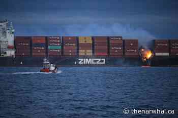 The Zim Kingston spill and the dangers of cargo in BC waters - The Narwhal