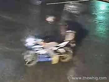 Kingston Police search for catalytic converter thief - The Kingston Whig-Standard