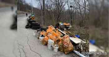 10th annual project cleaned up trash along Niagara Escarpment in Hamilton for Earth Day