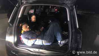 Schleuser in Lindau gefasst: Tunesier wollten illegal nach Deutschland - BILD