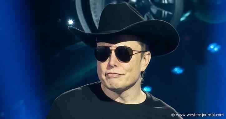Musk Officially Buys Twitter, Now Board Salary Might Go to $0 and Save Company $3M Per Year
