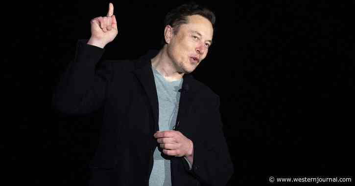 Breaking: Musk Releases First Statement After Twitter Takeover, Reveals Future of the Company