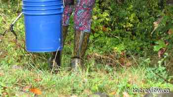 Ottawa Riverkeeper summer of cleanups in the regions of the Pacte d'Amitié begins May 8 in Casselman - The Review Newspaper