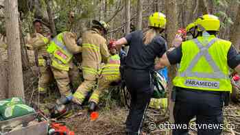 Ottawa man seriously injured after tree falls and traps him - CTV News Ottawa