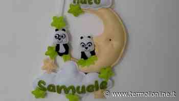 Termoli: Auguri sull'asse Termoli-Milano: è nato Samuele De Gregorio - Termoli Online