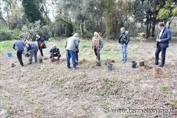 Il bosco Lions e Leo alle Fantine, una domenica immersi nella natura - Termoli Online