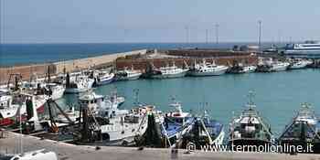 Corsa del cuore e passeggiata in spiaggia a cavallo, porto interdetto il 25 aprile - Termoli Online