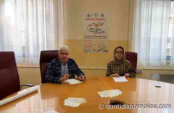 Presentata a Termoli la seconda edizione di "Molise in Fiera" - Il Quotidiano del Molse