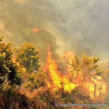 Smoke from Ash Ranges wildfire billows across Farnham and Alton area | farnhamherald.com - Farnham Herald