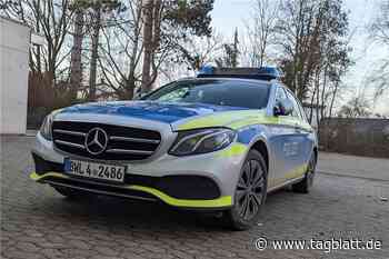 Mehrfach Streifenwagen gerammt – Autodieb entkommt der Polizei - tagblatt.de
