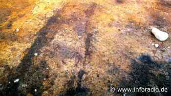 Mutmaßlich älteste Wagenspuren der Welt bei Kiel entdeckt - Inforadio vom rbb