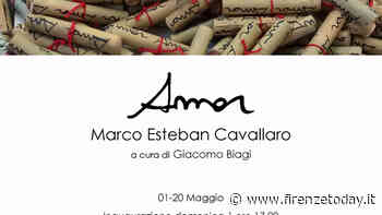 Amor l Marco Esteban Cavallaro - FirenzeToday