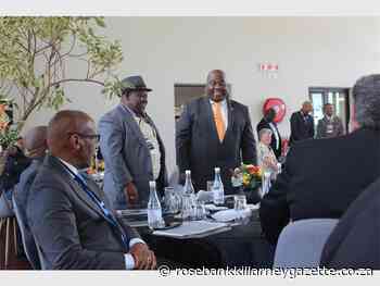 Gender imbalances in society need to be addressed - Rosebank Killarney Gazette