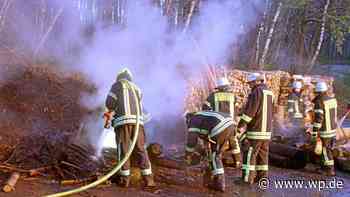 Siegen: Haubergsholz im Wald angezündet – Polizei ermittelt - WP News