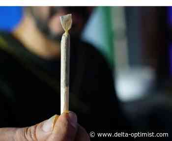 Tsawwassen cannabis store applications on hearing agenda - Delta Optimist