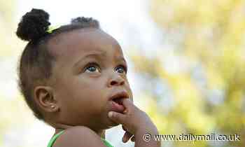 Pupils spend 25% of their time daydreaming about football, eating and Harry Potter, study suggests