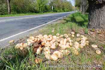 Schon wieder Brötchen zwischen Oer-Erkenschwick, Marl und Recklinghausen abgeladen - Dattelner Morgenpost