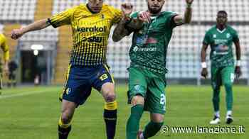 Gradassi: "Nuovi soci nel Pontedera? Di preciso non so niente neppure io..." - LA NAZIONE